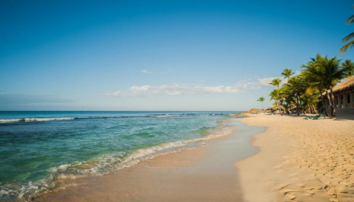 Hotel Viva Wyndham Dominicus Beach poza 32