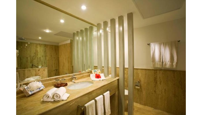 Vik Arena Blanca Hotel poza 3